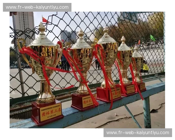 体育新人报道——一场精彩的拼搏与追梦之旅