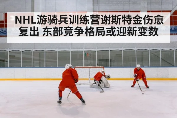 ice hockey goalie training